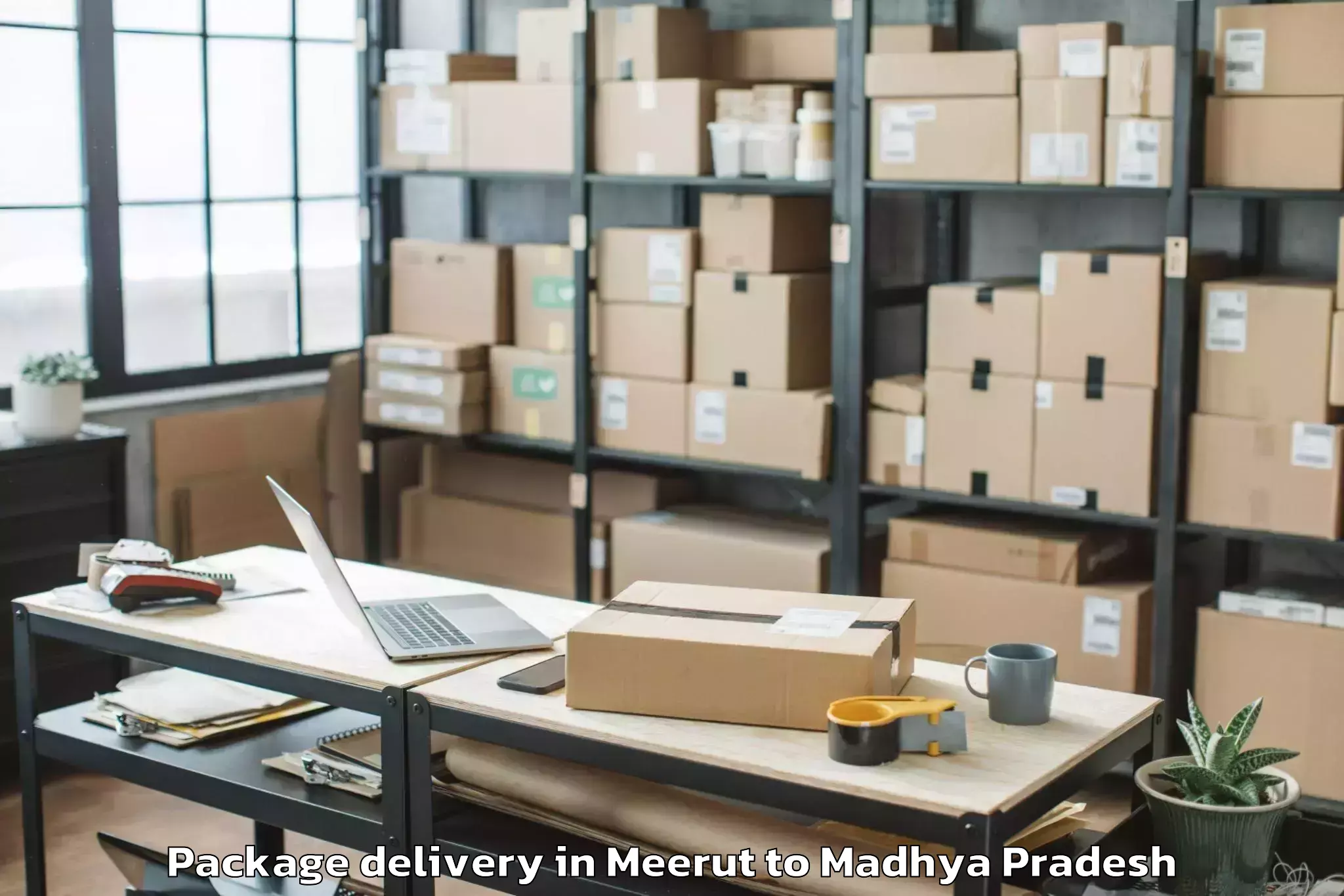 Expert Meerut to Gwalior Airport Gwl Package Delivery